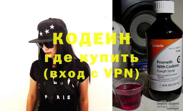 трава Коряжма