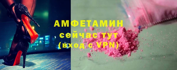 трава Коряжма