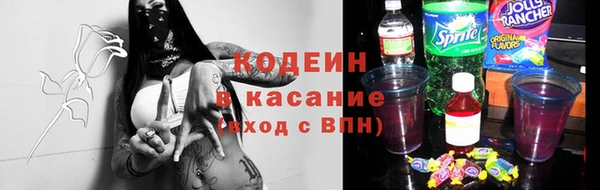 трава Коряжма