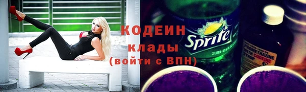 трава Коряжма