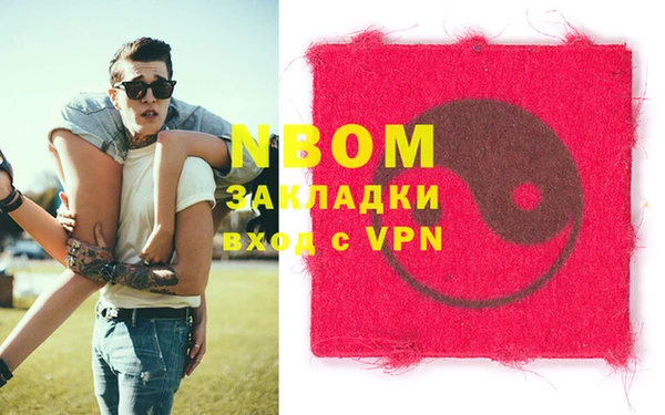 трава Коряжма