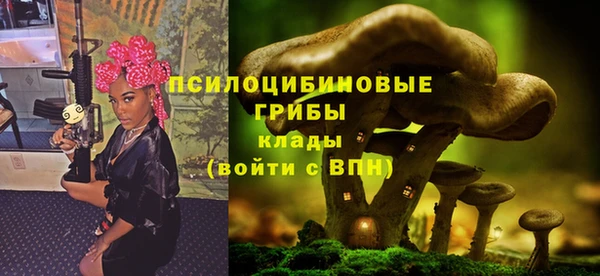 трава Коряжма