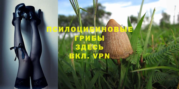 амф Костерёво