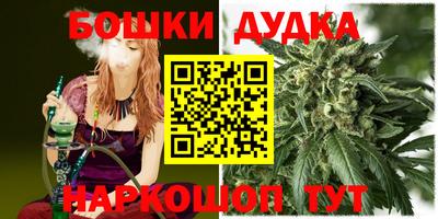 дмт Шахты