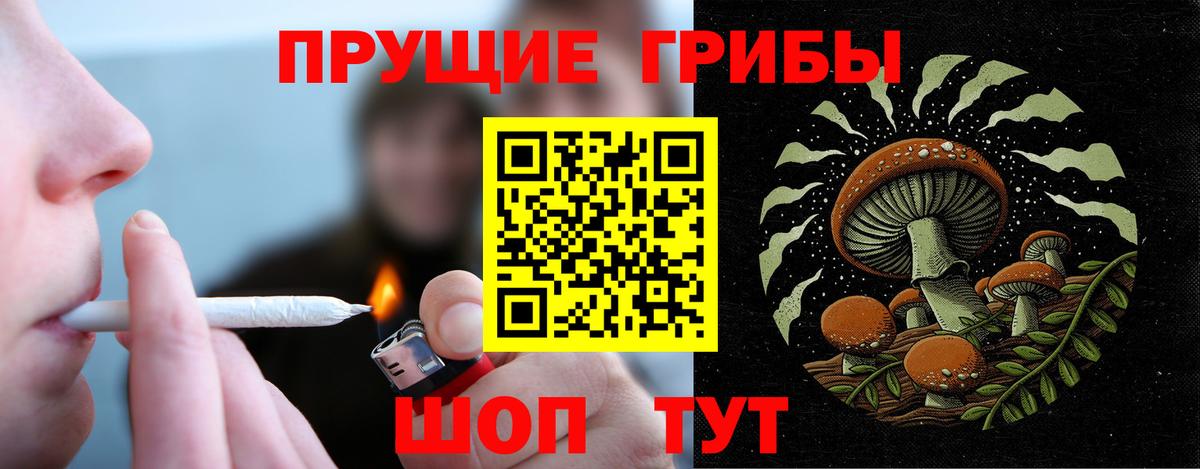Североуральск  Псилоцибиновые грибы мухоморы  Псилоцибиновые грибы Psilocybe  Вход с VPN 