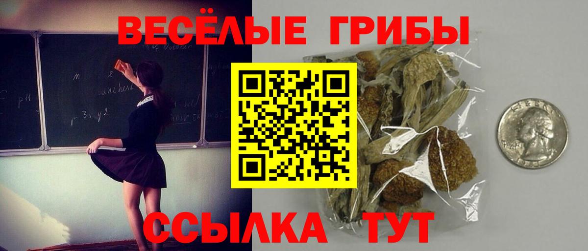 Галлюциногенные грибы ЛСД Североуральск